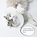 CAFILRA Pet Recovery E-Collar Cones (10 Pack) for Cats & Small Dogs After Surgery,Comfy Soft Elizabethan Kitten Neck Cone of Shame,Puppy Head Medical Collar,DIY to Prevent Licking Wounds & Rashes (L)