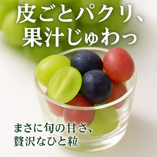 FRUITS PARK シャインマスカット クイーンルージュ 食べ比べセット の商品画像 4
