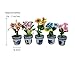 WitnyStore Tiny 1½" High 5 Pieces Set Mix Sunflower Orchid Hydrangea Zinnia - Hand Made Artificial Flowers Colorful Miniature Realistic Clay Flower Plant Pots Blooming House Plants Indoor Decoration