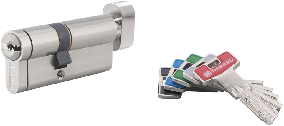 THIRARD - High security lock cylinder with knob T2 - nickel - anti-snap anti-drill anti-pick anti-pull - 40B x 30 mm - grey - 5 reversible keys