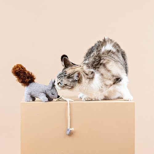 Fringe Studio Brinquedo para gatos One TUFF NUT Teaser, coleção PetShop (717001)