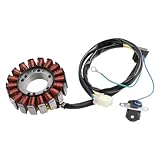 Generatore statore compatibile con Aeon Crossland Cube 220 300 320 e GOES 220 300s