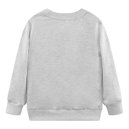 Image of Popshion Toddler Boys Sweatshirt Cotton Lightweight Kids Winter Warm Sweater Crewneck Pullover Tops