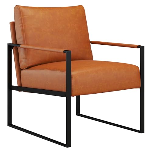 CANMOV Metal Frame Armchair