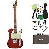 Bacchus BTE-1-RSM/M エレキギター初心者14点セット 【充電式ミニアンプ付き】 CAR テレキャスタイプ ローステッドメイプルネック バッカス