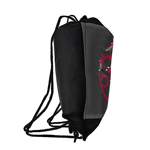 LOGOVISION Game of Thrones Targaryen Sigil Drawstring Backpack Sports Bag Sackpack 17" x 13", Perfect for Gym, Yoga or Practice2