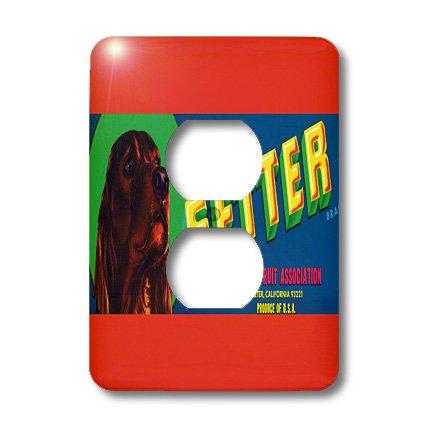 Interruptor Irish Setter 3dRose lsp_171139_6 de una toma 4
