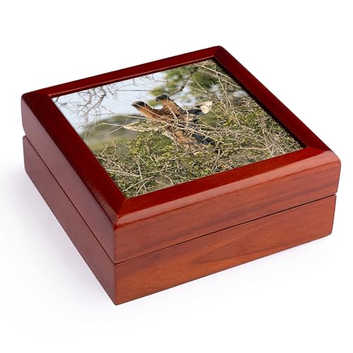3dRose South African Giraffe head face in the trees Jewelry Box 7 x 7 inch with 4 inch tile