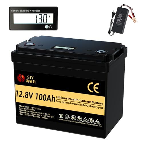 SaiJiaoYang Bateria de Lithium LiFePo4 12V 100Ah