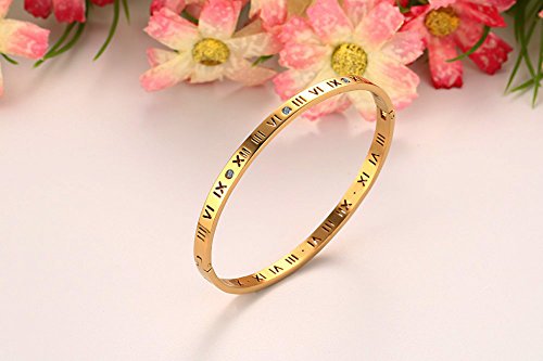 Winnie Women's Stainless Steel Rhinestone Roman Numerals Bracelet, Rose Gold, Gold, Silver, Width 4.55Mm. Diameter 60Mm (Gold) #TOP2