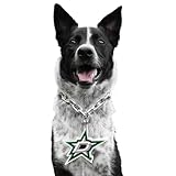 Littlearth NHL Pet Fan Chain Dallas Stars