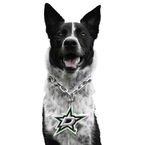 Littlearth NHL Pet Fan Chain Dallas Stars
