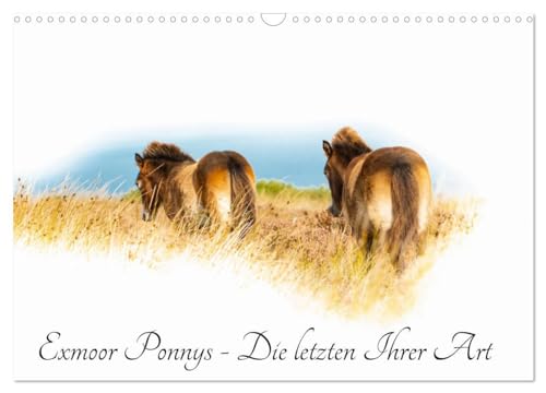 Exmoor Ponnys - The Last of Their Kind (Wall Calendar 2026 DIN A3 Landscape), CALVENDO Monthly Calendar: Experience the Fascination of Exmoor Ponies in Your... Semi-Wild in Their Homeland (CALVENDO
