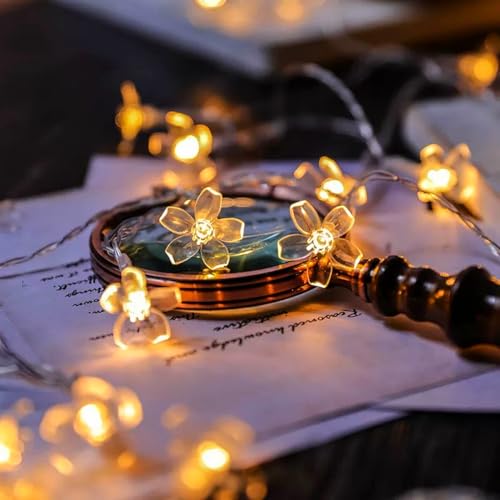 HHMTAKA Flower Fairy String Lights 6M Cherry Blossom Lights with 40 LED USB String Lights Spring Decoration for Indoors Bedroom Christmas Décor