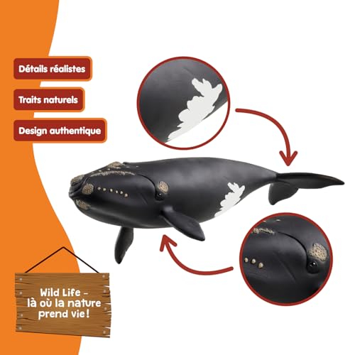 Figurine Baleine de 'Atlantique 14878 Wild Life des Neuf - vue 6