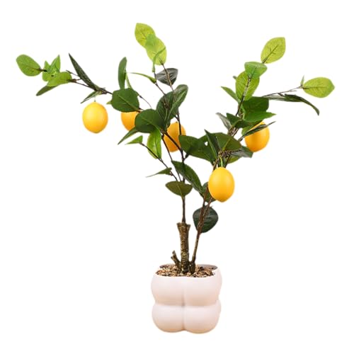Zxfdsfdbnm Bonsáis Decorativos Simulados Realistas Artificiales Adornos de Árbol de Frutas para Salón o Restaurante Accesorios de Decoración del Hogar