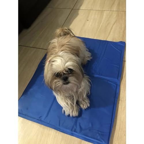Tapete Gelado Cao Cachorro Gato Pet Refrescante 50x65cm Animal de Estimaçao Colchonete Macio Confort