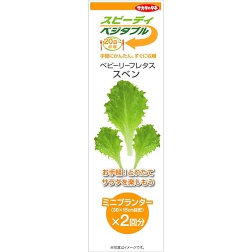 TJ^̃^l Xs[fBxW^u20~ xr[[t^X Xx