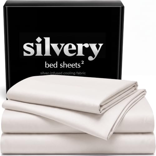 Silvery Silver Infused Bed Sheets Set, California King