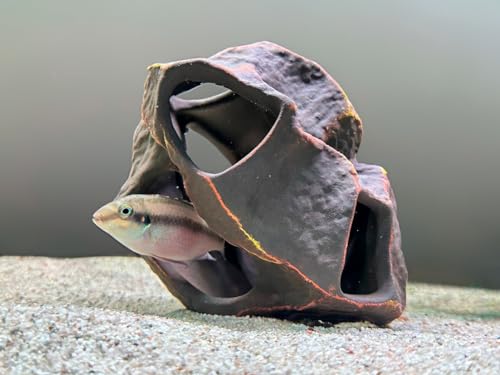 Image of Plecoceramics Aquarium Ceramic Decorations Cave Betta Stone Decor - Aquarium Fish Tank Hideway Decor for breeding Cichlids Plecos Betta Toys Hideout (Boulder)