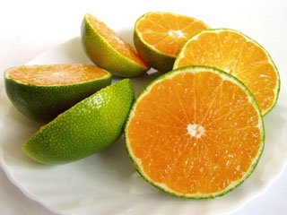 Italian Tangerine Orange 10 Seeds Fruit Tree Very Sweet Citrus Tangerina #TOP1