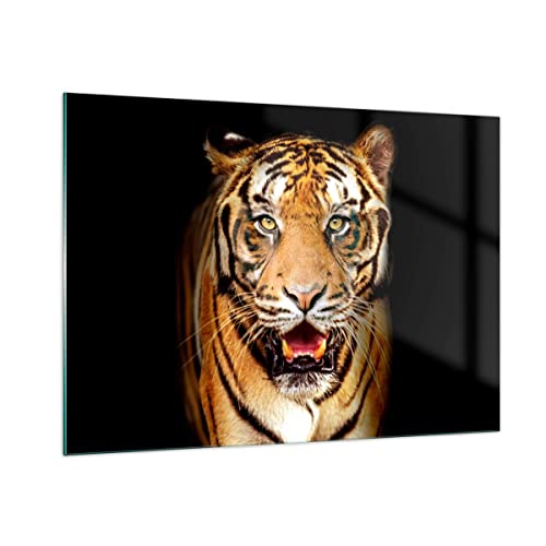 Vidrios decorativos 100x70cm Cuadro Sobre Vidrio Moderno tigre animal Grande Dormitorio Cocina Cuadros Pared Impresiones Decoracion Salon Impresión en Cristal Wall Art Prints Decor GAA100x70-4103