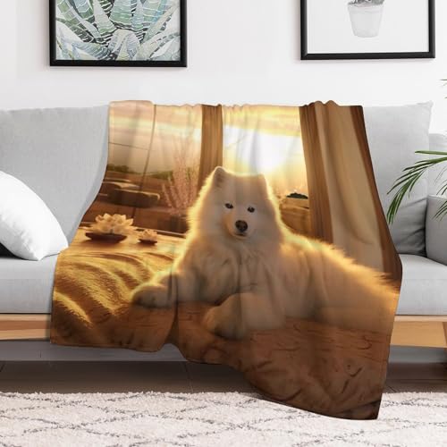 Couvertures pour canapé et chien en flannel douce 150x200cm - 3