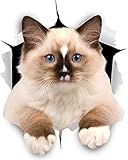 Sticker-Designs