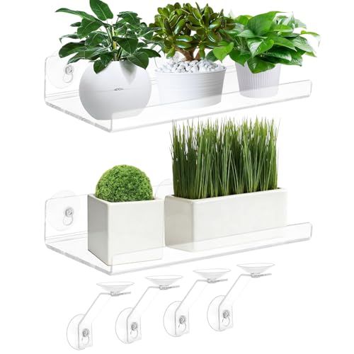 Skewo 2 Pack 12 Inch Acrylic Window Boxes Plant Shelves, 6 Inch Extra-Wide Windowsill Extender – Features Suction Cups and Support Brackets for Succulents, Herbs, Seed Starting - Indoor-Outdoor Use