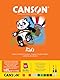 Canson 400015601 Hobby, farbiges Papier, 24 x 32 cm, sortiert