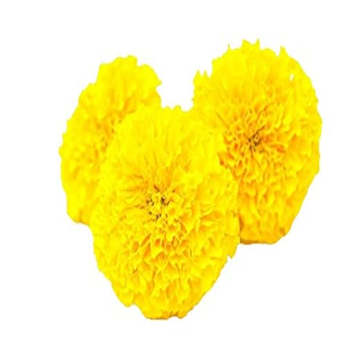 Fresh Flower Marigold Yellow, 250 g