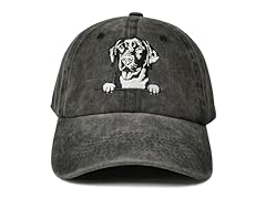 Labrador Retriever (Washed Black)