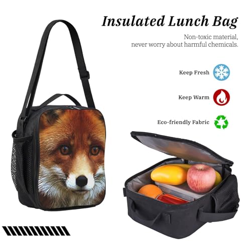 Sac à dos école EdWal FOX2 noir pour transporter les cours et le repas du midi - 6