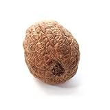 Spice Jungle Whole Nutmeg - 25 lb. Bulk