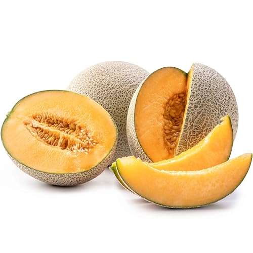 50 Hales Best Cantaloupe Seeds for Planting - Sweet Aromatic Heirloom Non-GMO USA Grown by RDR Seeds