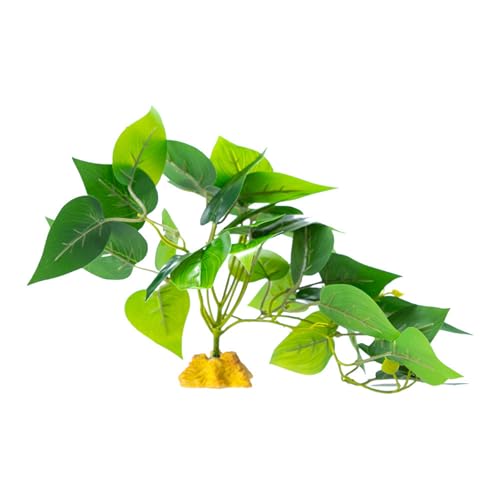 ঒ރNC~OOXeEAeEރgJQwrlHȂ