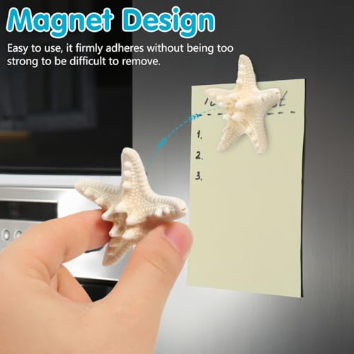 Imanes Decorativos Pequeños Forma Concha 7 Pcs miniatura 3