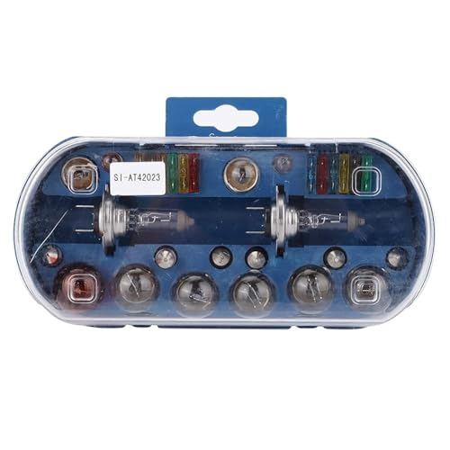 lvifloae - Kit D'ampoules De Voiture Universelles H7 éclairage Fusible Ensemble12 V 55 W, 30 Pièces, Pièces De Rechange Pour Lampe De Secours Boite Ampoule Voiture