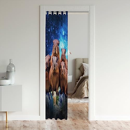 Loussiesd Capybara Door Curtain for Doorway Privacy 106x203cm Galaxy Outer Space Closet Door Cover Curtain for Bedroom Living Room Funny Capybara Room Divider Curtain Cover - Image 3