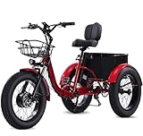 Adult Electric Tricycle, Electric Tricycle, 20 