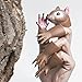 AQKILO Squirrel Finger Puppet, Tiny Hands Theater Prop, Funny Gag Gift for White Elephant, Easter Basket Swap, Adults and Kids