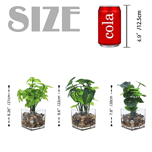 Jusdreen Artificial Potted Plants，Faux Tabletop Greenery Plants With Clear Glass Pots And Cobblestones For Home Office Décor 3 Piece Set #TOP1