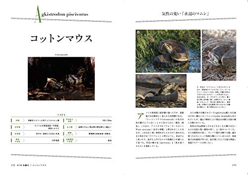 Amazon.co.jp: パンク町田: 本、バイオグラフィー、最新アップデート