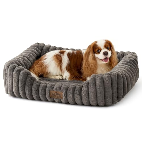 COZY KISS Orthopädisches Hundebett für Kleiner Hunde & Katze, Waschbares Weicher Kunstfell Hundekorb, Haustiersofa mit Hoher Umrandung, Flauschig, Rutschfestes, 64x53x15cm, Grau