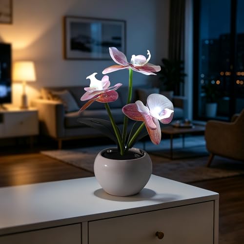 Image of Light Pink Artificial Orchid Lamp, Cordless Rechargeable LED Orchid Night Light, Valentine's Mothers Day Wedding Birthday Gift for Mom Wife Friends, Floral Light for Bedroom Indoor Home Decor