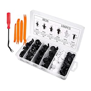 Moioee Car Retainer Clips Fastener Remover, 100 PCS Car Push Retainer Clips Kit, 6 Most Popular Sizes Applications Auto Push Pin Rivets Set, Nylon Bumper Door Trim Panel Clips Replacement for Cars