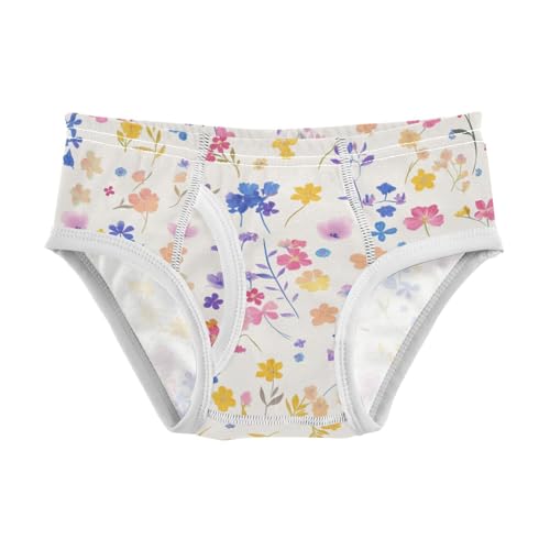 KLL Colourful Small Liberty Blooming Baby Boys Soft Briefs Underwear Breathable Children Panties