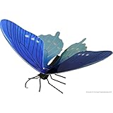 Fascinations Metal Earth Pipevine Swallowtail Butterfly 3D Metal Model Kit