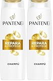 Pantene Pro-V Repara y Protege Champú 325ml para Pelo Seco y Dañado, Limpia y Protege los Enlaces Capilares con Suavidad, Sin Siliconas, Aceites Minerales ni Colorantes, Tecnología Active Nutri-Plex