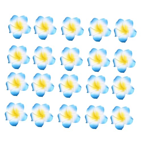 VERDANVERSE 50 tWpjwbht[ wAsp nCAwAANZT[ ⑲ɂȔ 킢ԏfR[